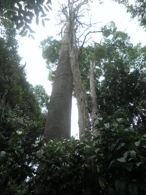 CATATAN SI MERAH SILU: Jalan-jalan Perak sebelah barat : Makam Puteri