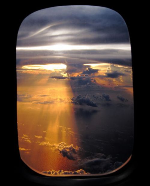 My Image 71