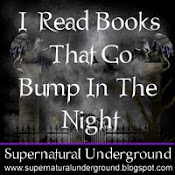 I Support The Supernatural Underground