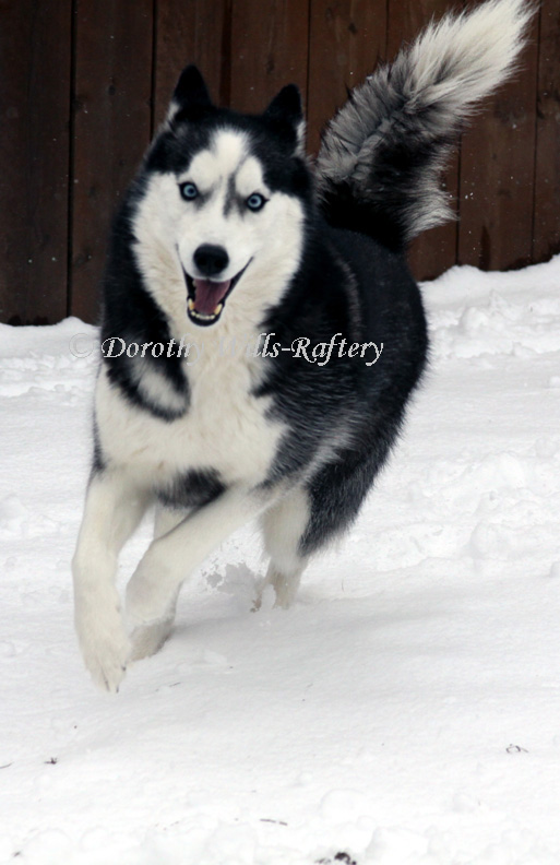 [IMG_8627A+copy.jpg]