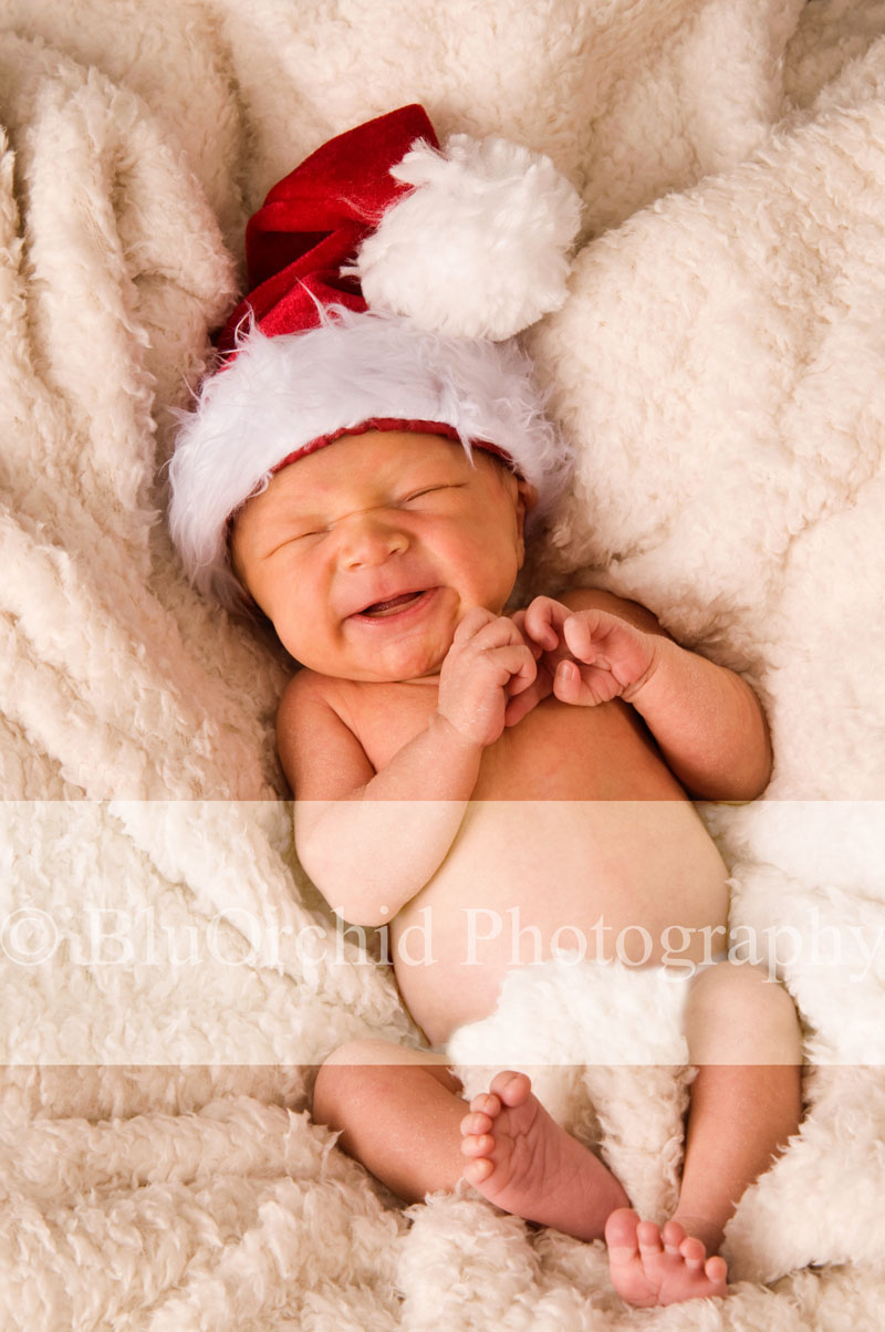 [Memphis-Baby-Photographer-BluOrchid-Photography-Marion-AR-LJ12.jpg]