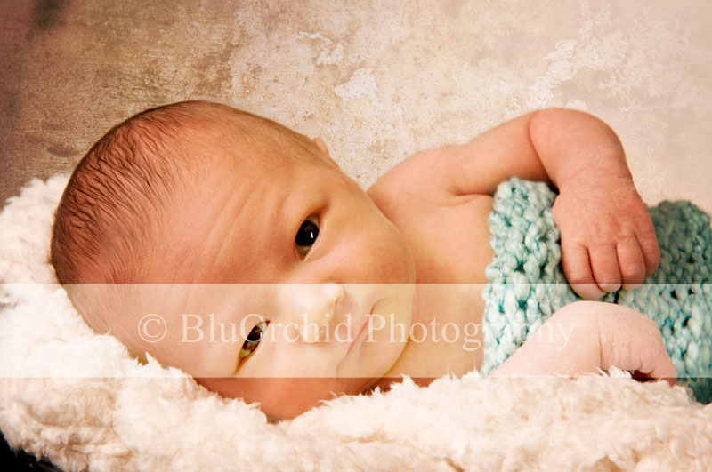 [Memphis-Baby-Photographer-BluOrchid-Photography-Marion-AR-LJ13.jpg]
