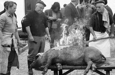 CAFÉ PORTUGAL - Celebração do porco - Benavila - 1990