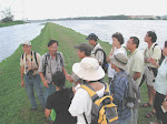 Marshy Guided Tours