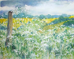 watercolour sketch parsley cow paintings plein air vivien approx blackburn fields mixed england yellow