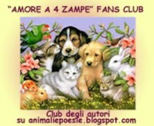 .... AMORE A 4 ZAMPE ....