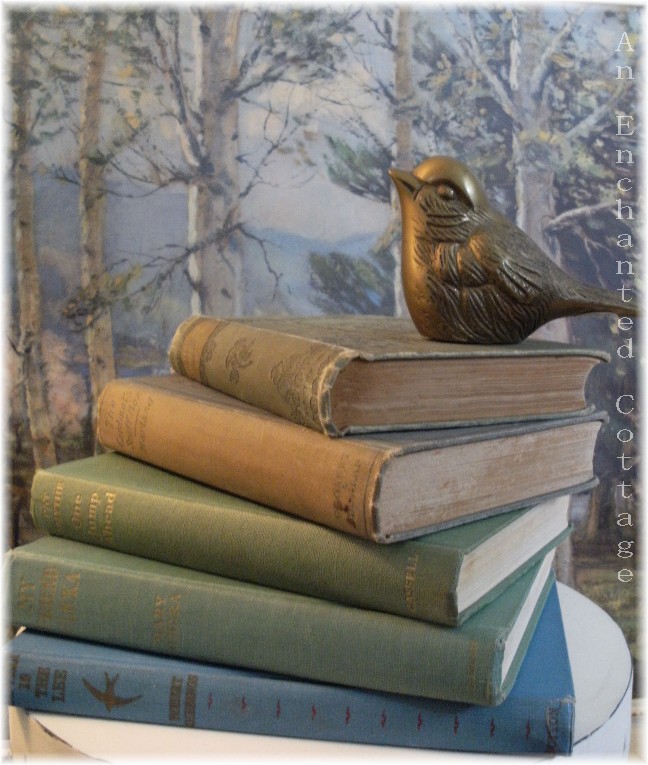 [bird+on+stack+of+booksbooks.jpg]