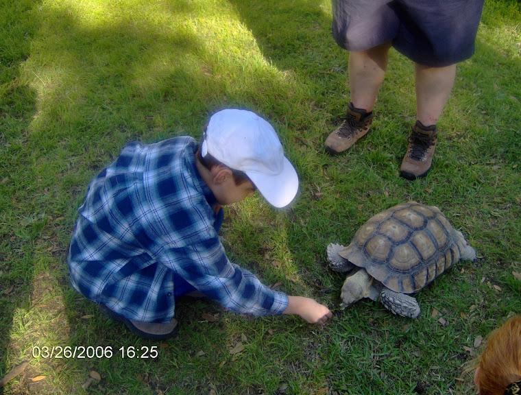 Dustin "Touches" a REAL turtle!