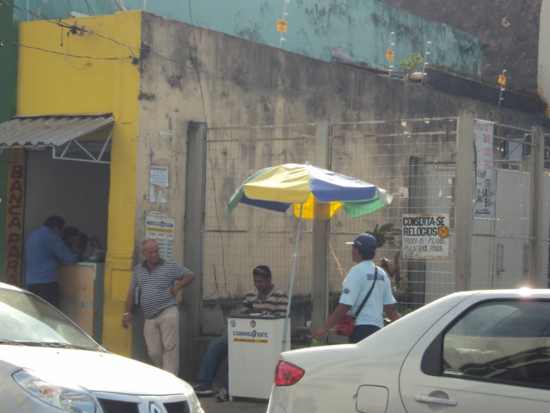 Jogo do bicho zoológico a céu aberto nas ruas de João Pessoa Leia! Informe Itaporanga O