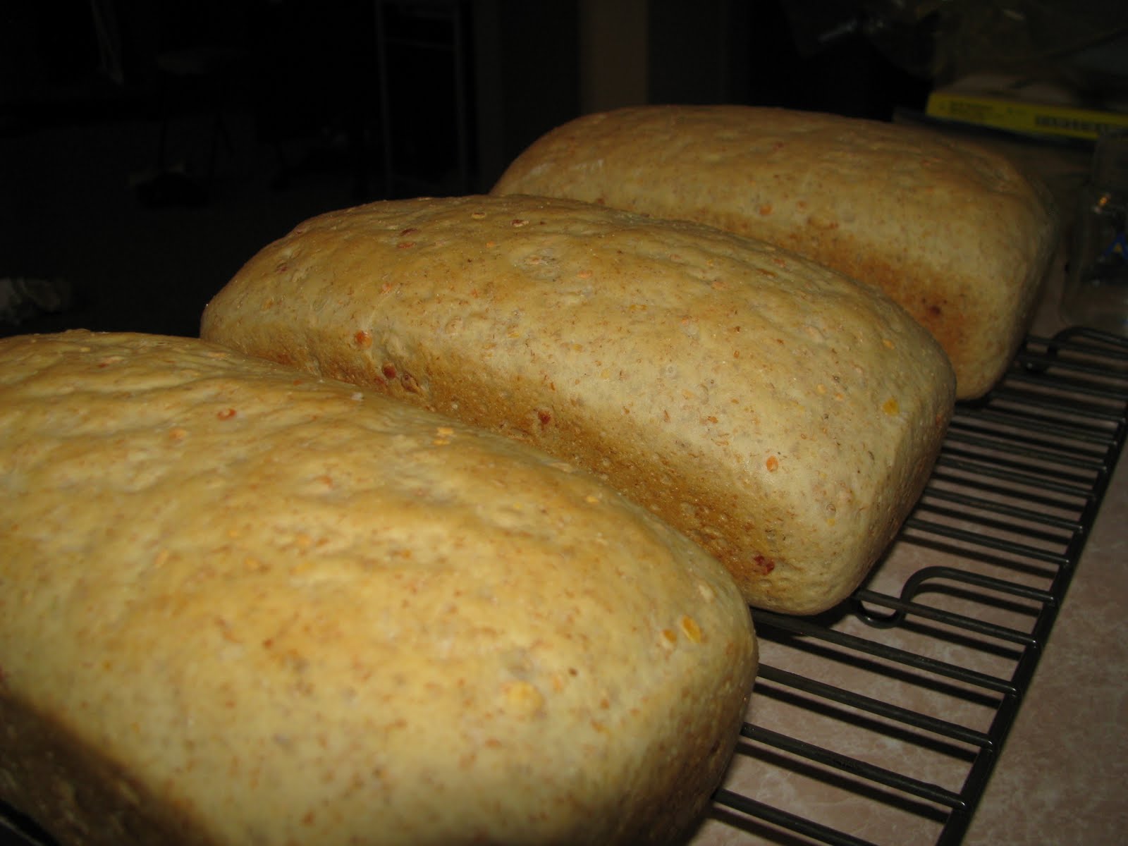 Chaos Creates Red Lentil Bread