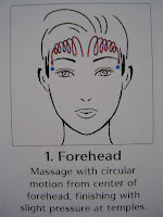 shiseido complimentary in store facial experience review massage