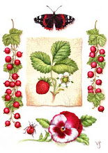 Valerie Greeley Illustration