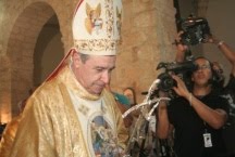 [cardenal.bmp]