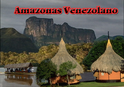 [Amazonas+Venezolano.jpg]
