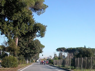 MAGELLANO AUTOVELOX SCARICA