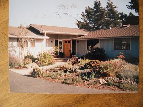 [blog+photo+corey+before.JPG]