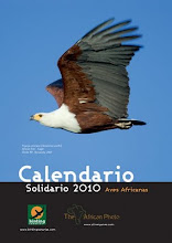 Calendario solidario 2010