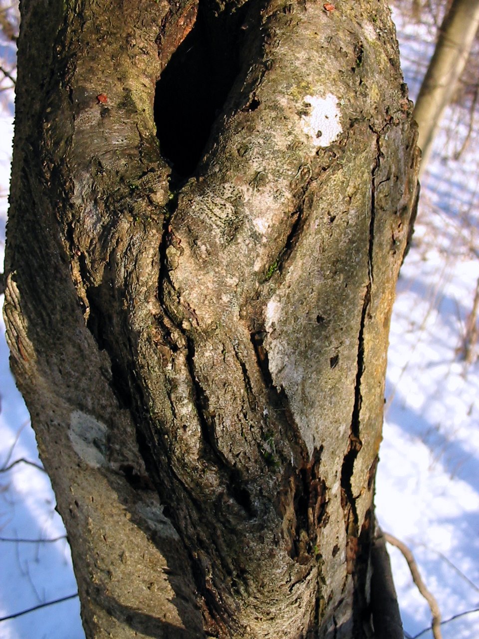 [IMG_6126.JPG]