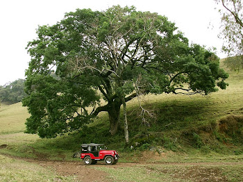 Gonçalves e região