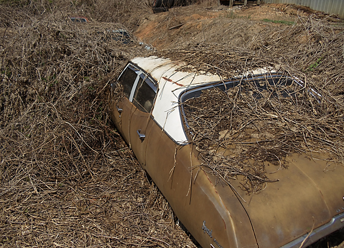 Junkyard Life Classic Cars Muscle Cars Barn Finds Hot