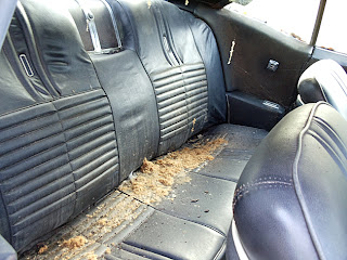 Junkyard Life Classic Cars Muscle Cars Barn Finds Hot