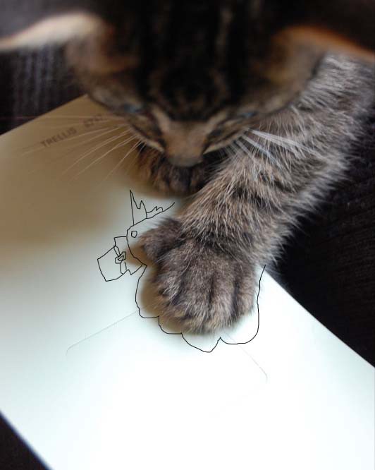 [gatos20080328_29.jpg]