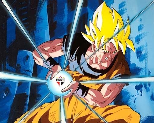 [goku_sao_paulo.jpg]
