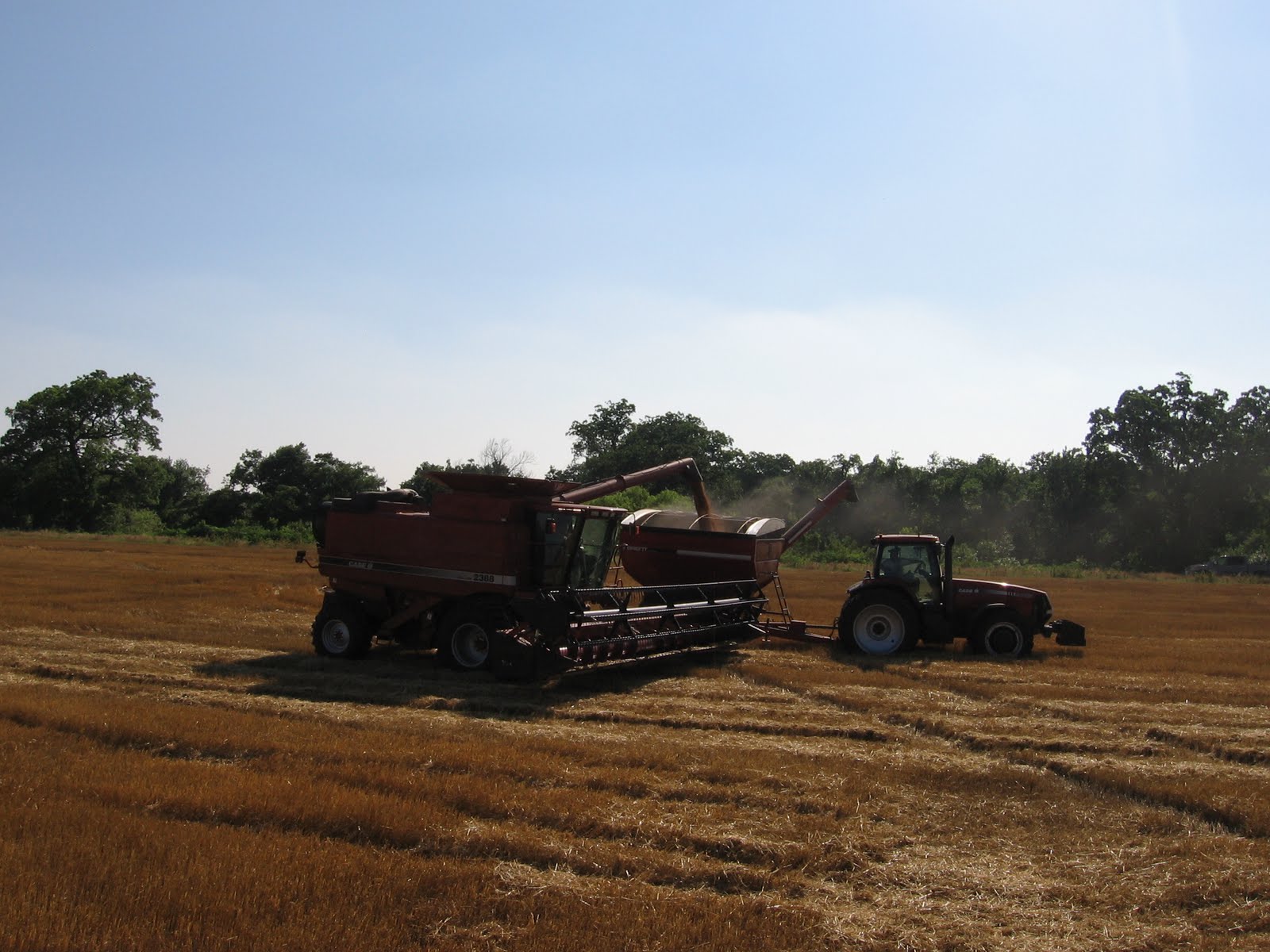 On the Road with Melchert Harvesting Pictures