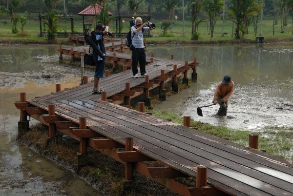 [PSPJBukitCahaya_02.JPG]