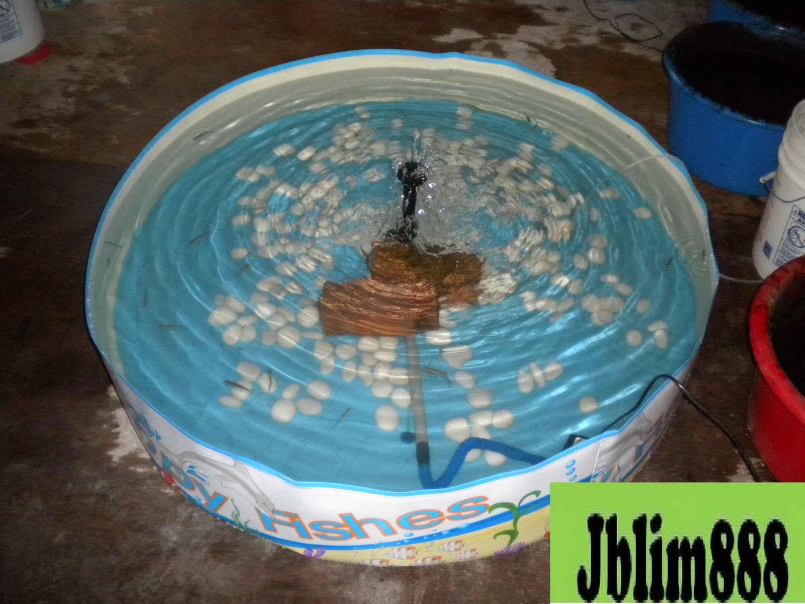 swiftlets-talk-jblim888-swiftlet-house-cooling-system