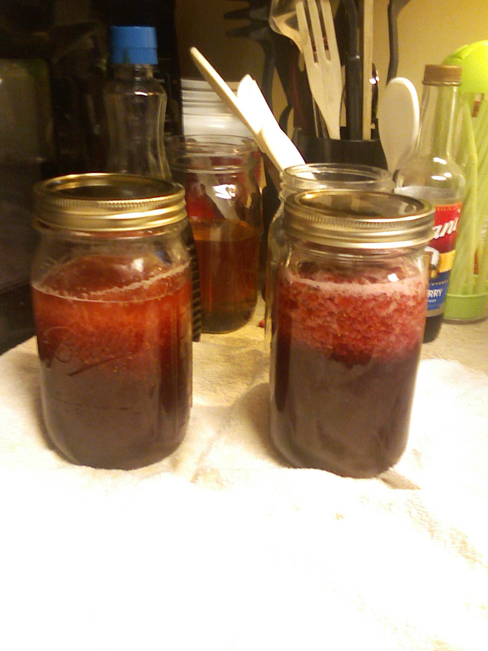 DewTHIS Make your own Strawberry Syrup)