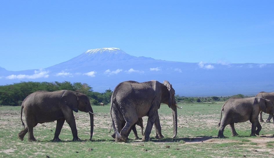 [03+Kilimanjaro.jpg]