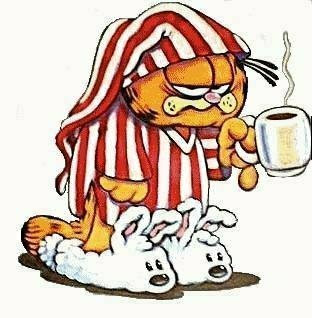 GARFIELD.jpg