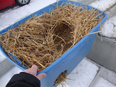 2/1/10 How To Make a Winter Shelter  for Homeless Ferals and Outdoor Cats