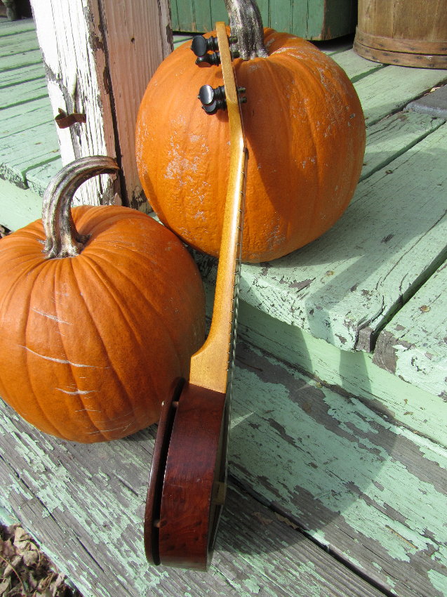 c.1920 Sandstrom Burled Redwood Banjo Ukulele