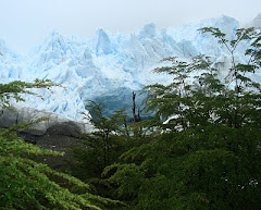 GLACIAR PERITO MORENO - SANTA CRUZ - ARGENTINA