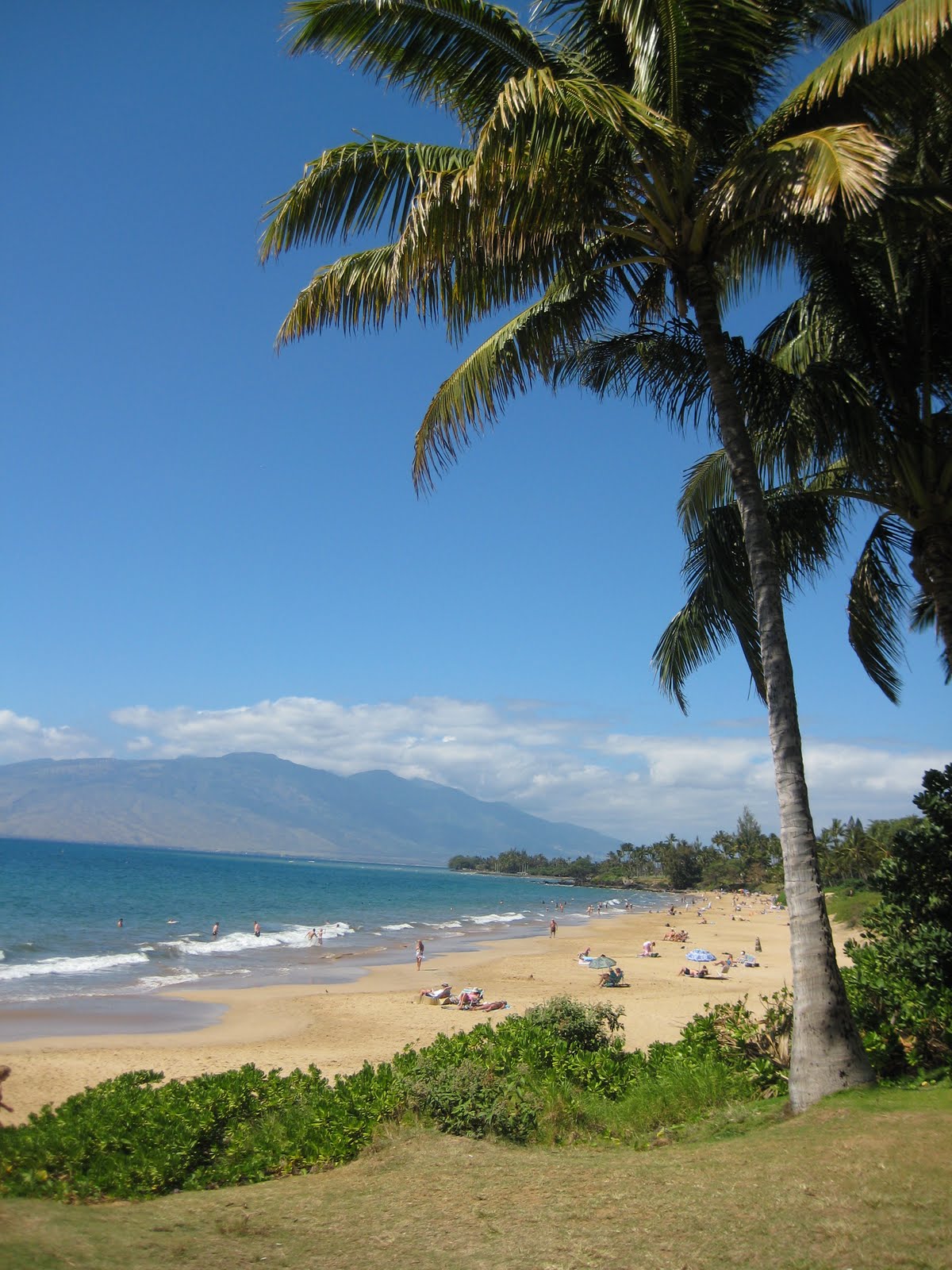 Maui Vacation Guide Cheap Flights to Maui for Spring and Summer Vacation