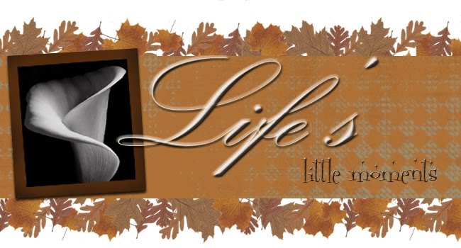 Life's Little Moments