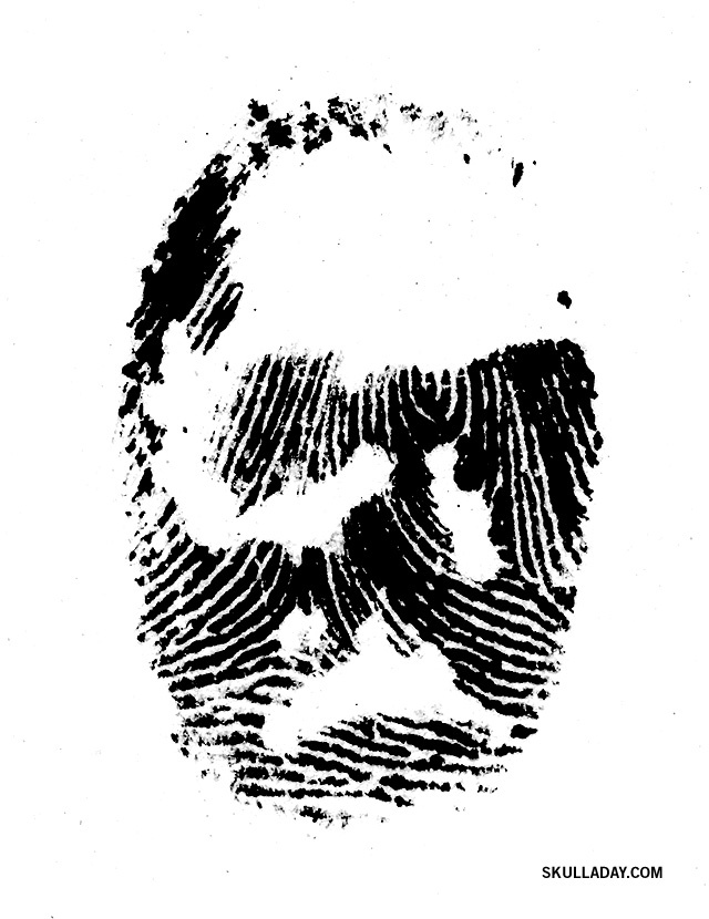 [skull171.jpg]