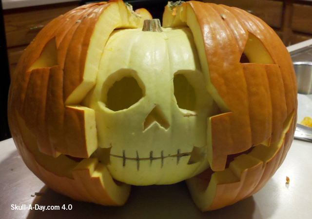 [BONUS] Pumpkin Anatomy Skull Follow-Up