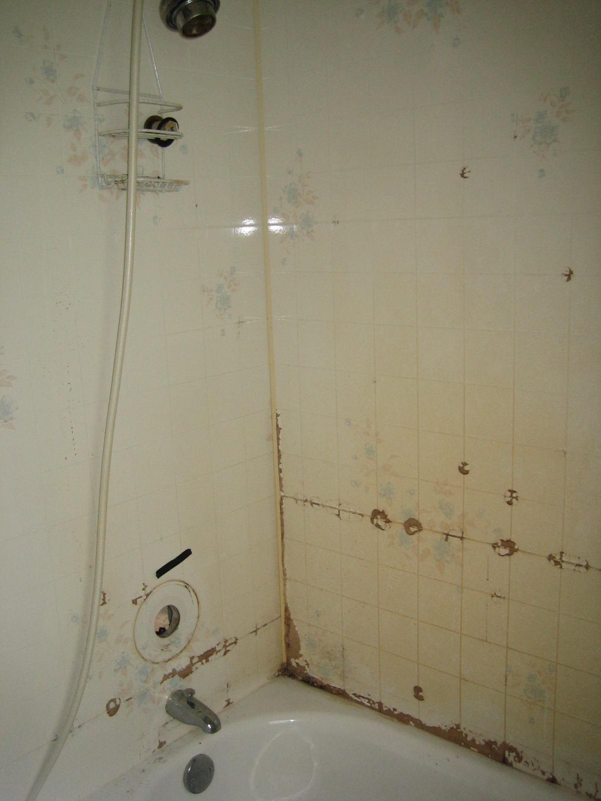 My nemesis smells like an egg House Unseen. Life Unscripted.