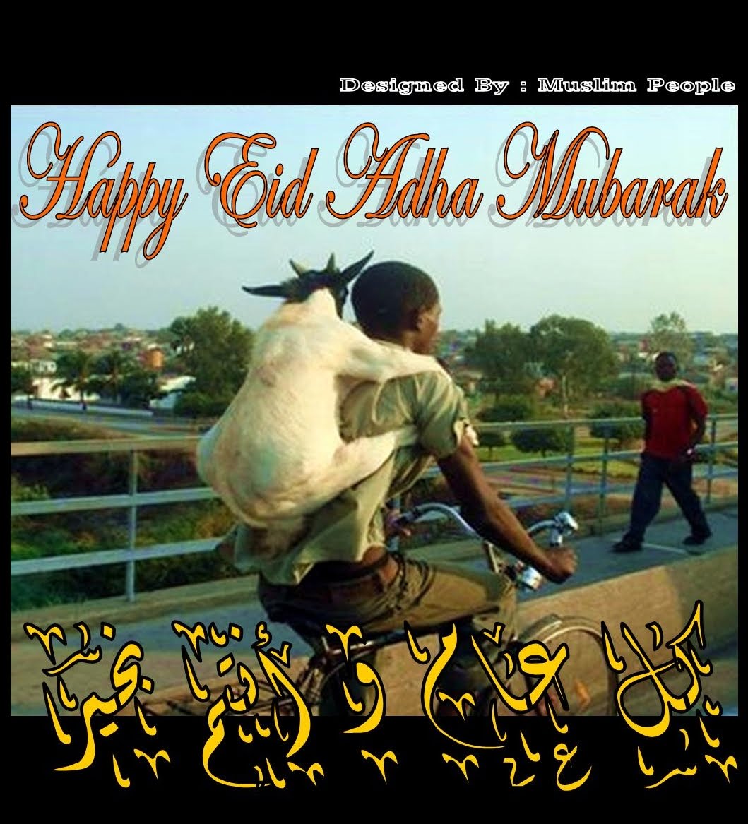 Online Casinos That Accept Usa Players