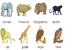 ANIMALS