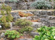 Estudio Boyne Cámera -Diseños&Paisajes-: Los "Rock Garden" o jardines