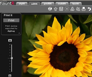 Flaunt R image editing Screen Shot