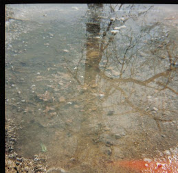 Relection in puddle 2008