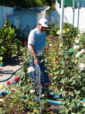 [watering_the_garden.jpg]