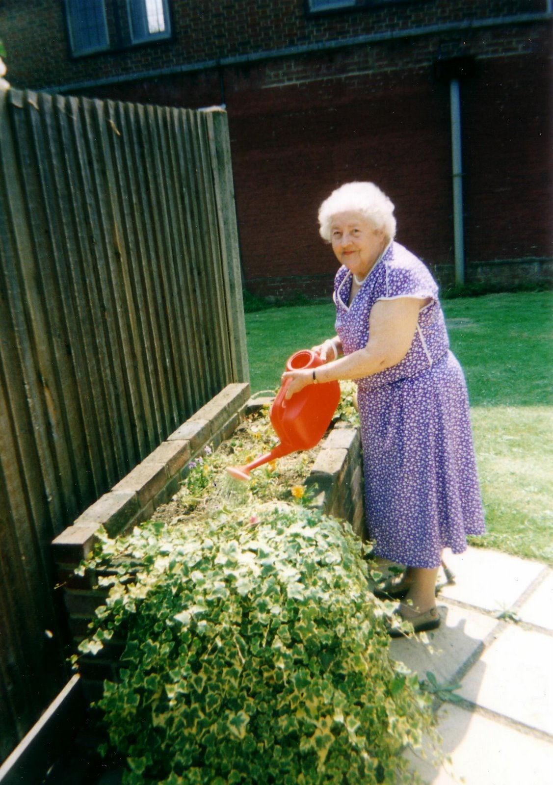 [watering_plants.JPG]