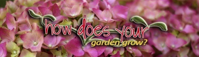 How Does Your Garden Grow?