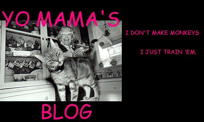 Yo Mama's Blog